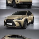 Lexus NX 350h: Hybrid Luxury